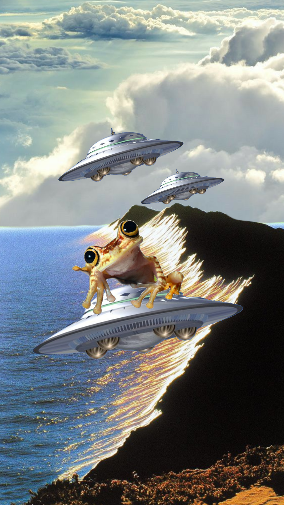 Sapo Viajante